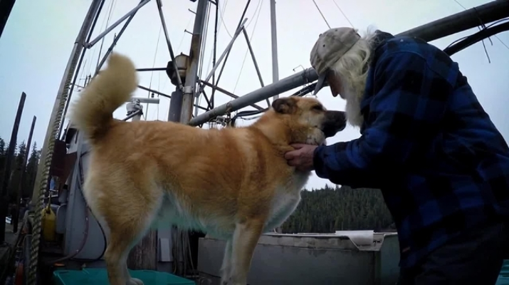 Gary petting his pet Trapper, an Alaskan Labrador Akita.